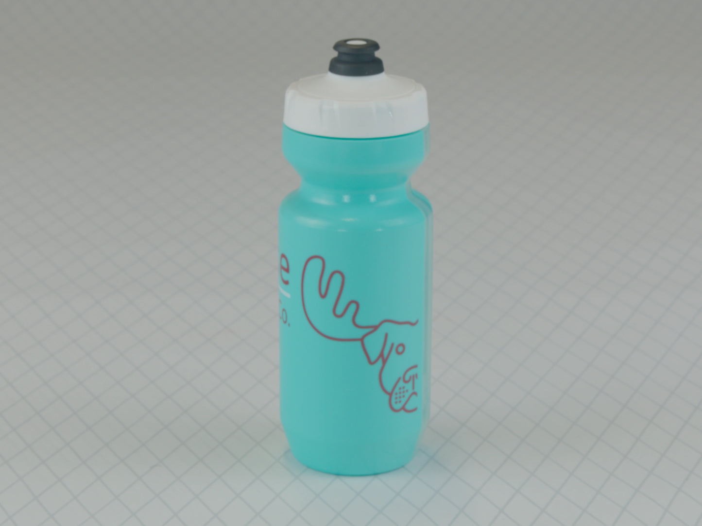Bottle
